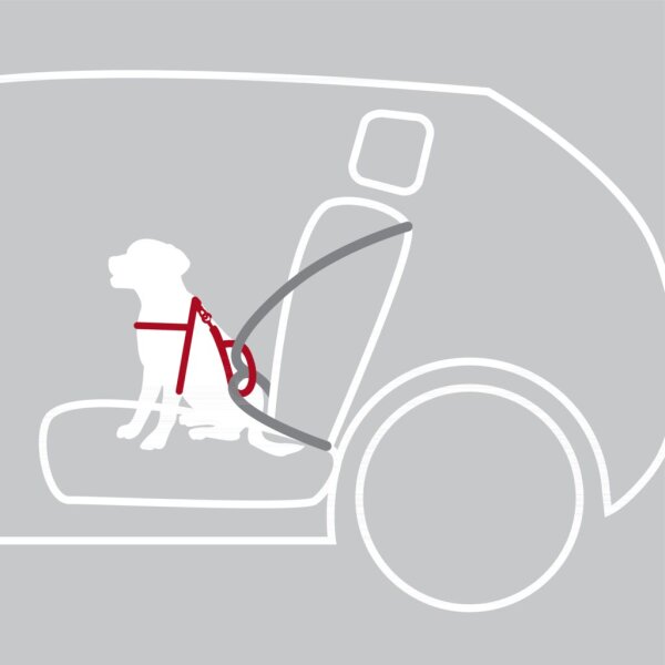Auto-Geschirr Comfort