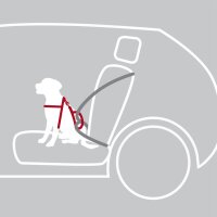 Auto-Geschirr Comfort