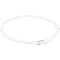 Flash Leuchtring USB