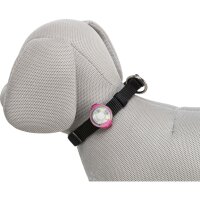 USB Flasher für Hunde