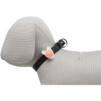 Flasher für Hunde
