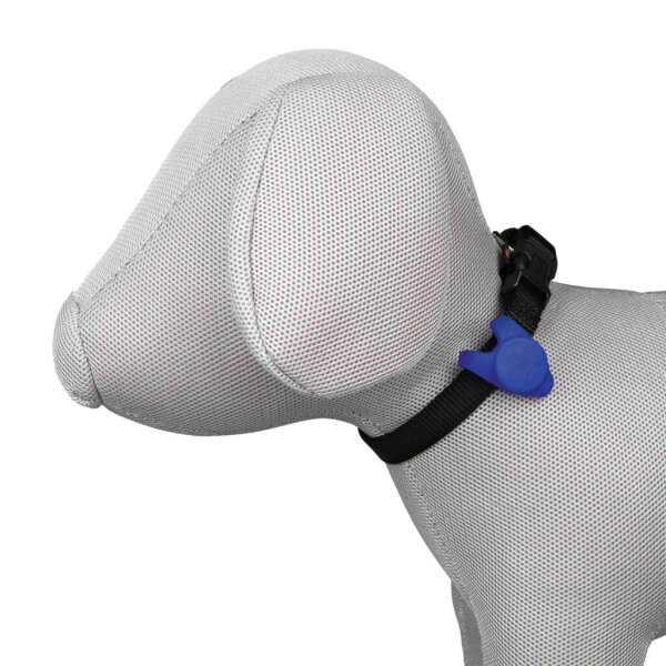 Flasher für Hunde