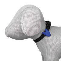 Flasher für Hunde